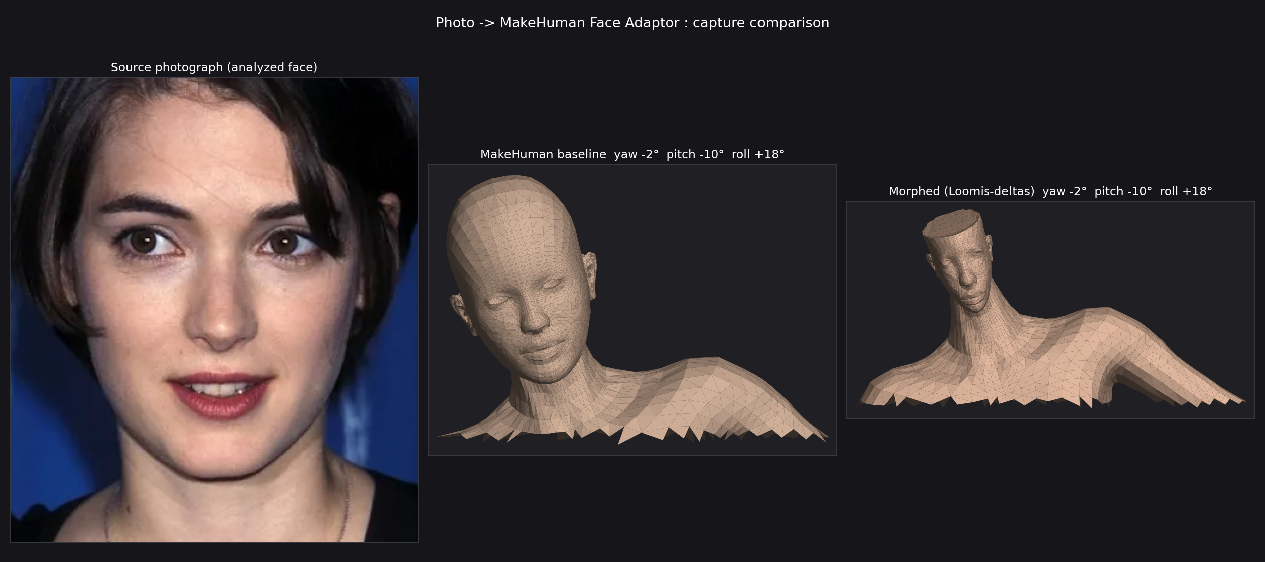 Automesh: Winona capture study