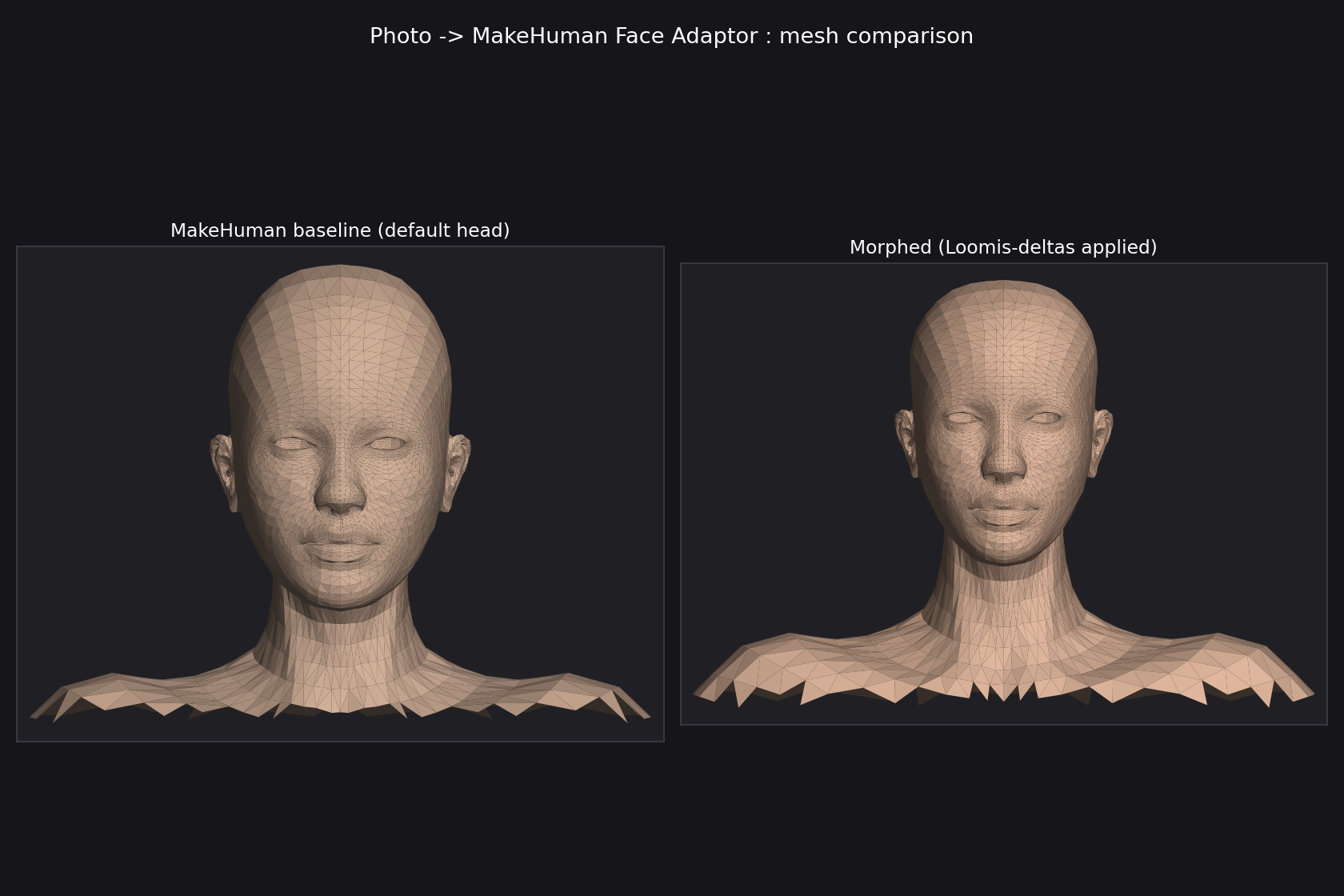 Automesh: Winona mesh compare