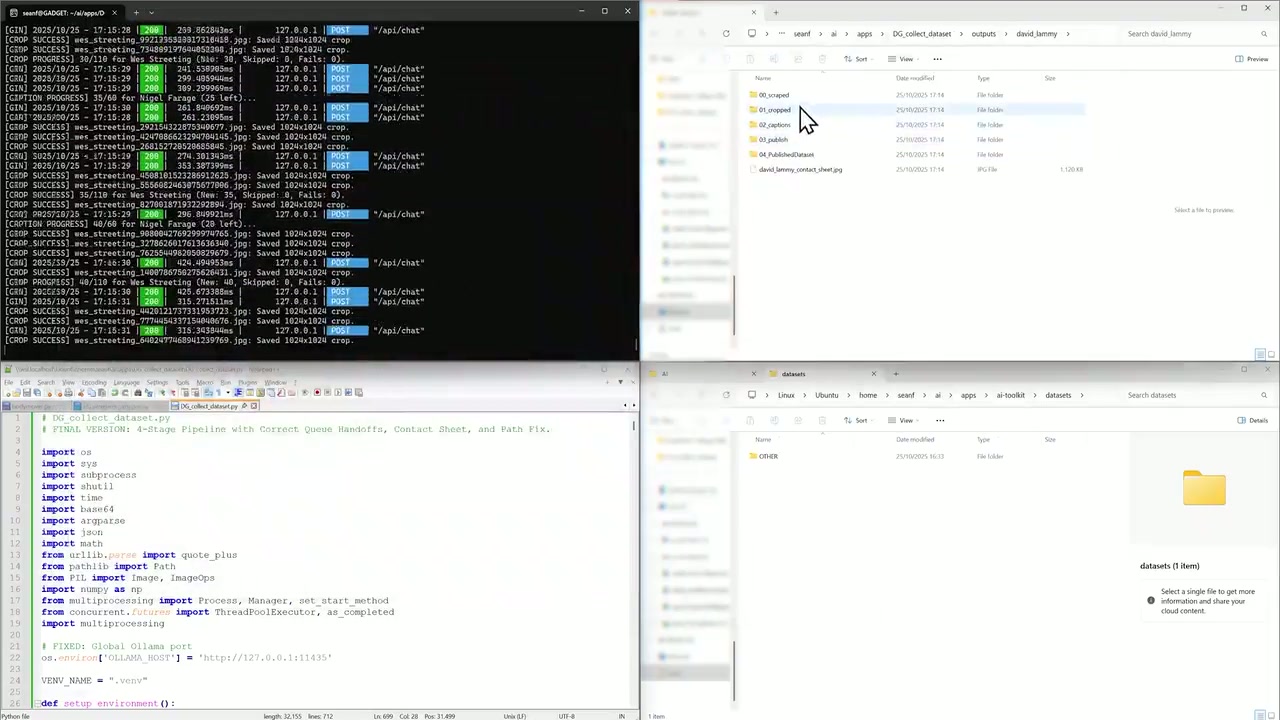 DG_CollectDataset thumbnail